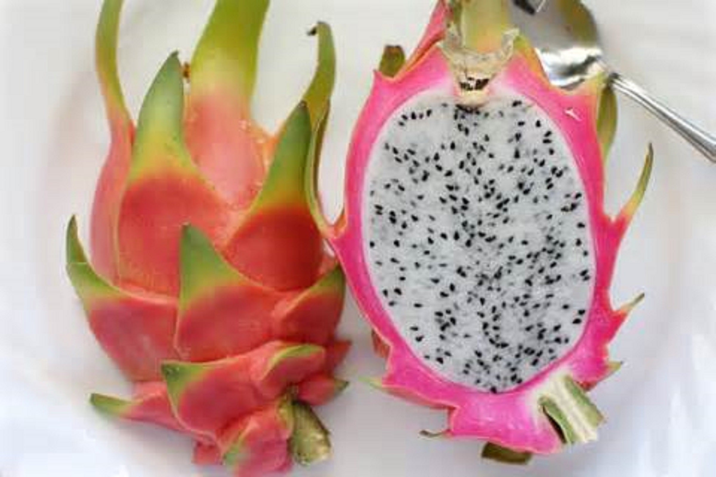 Slaying Disease With Dragon Fruit
