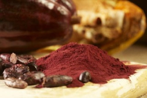 Can Flavanols Reverse Age-Related Memory Decline?