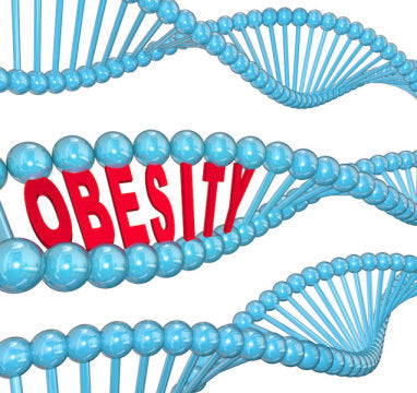 Is Having A Large Belly Harmful For Your Health?