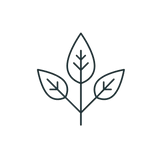 Black line drawing of a leaf on a white background