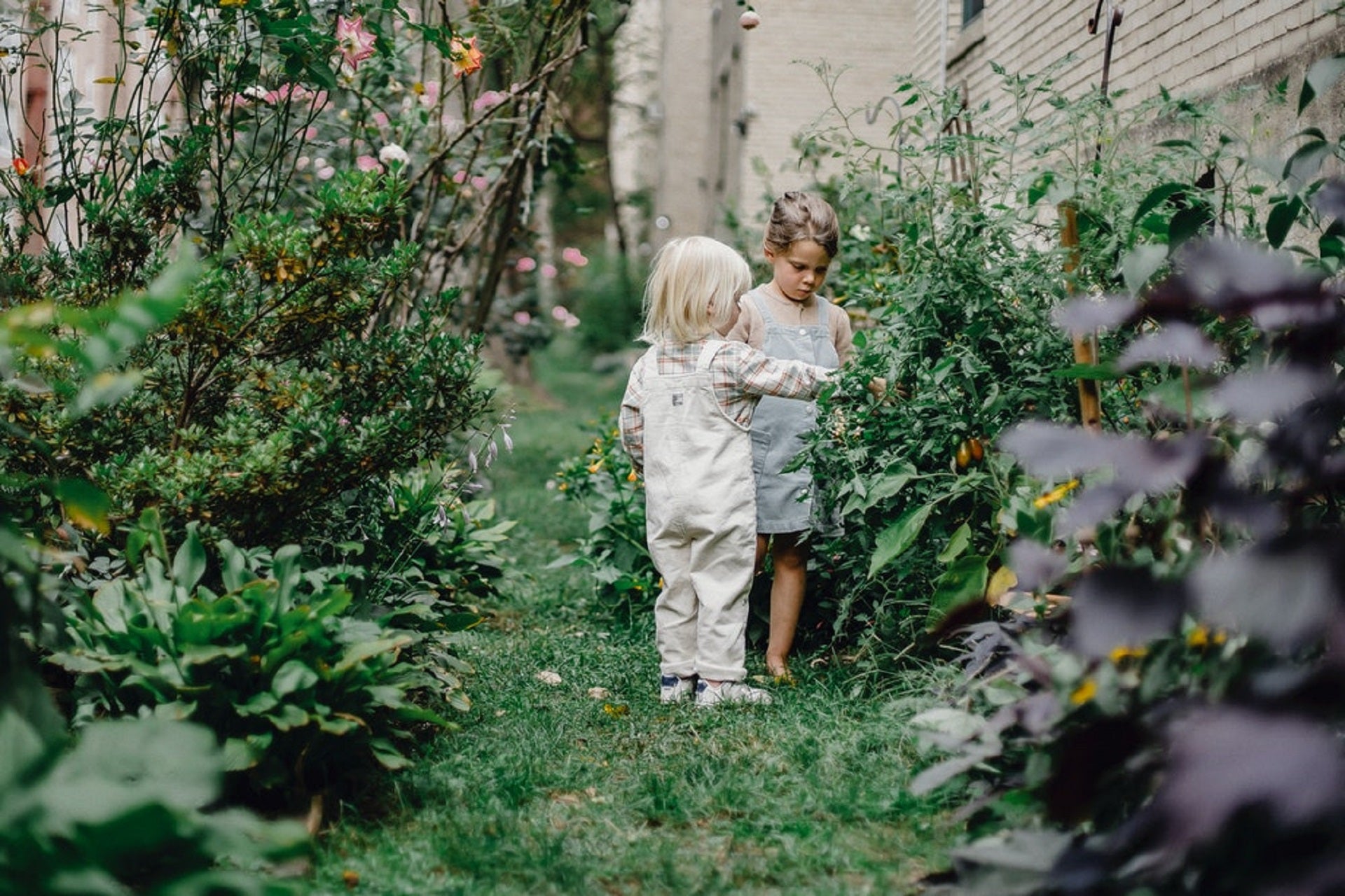 children playing in garden