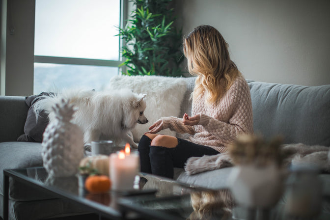 woman with pet dog on sofa