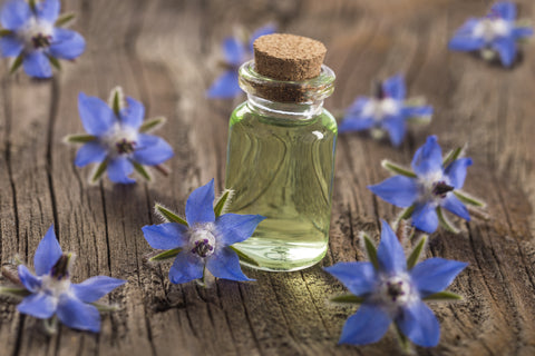 Inflammation No Match For Borage Oil