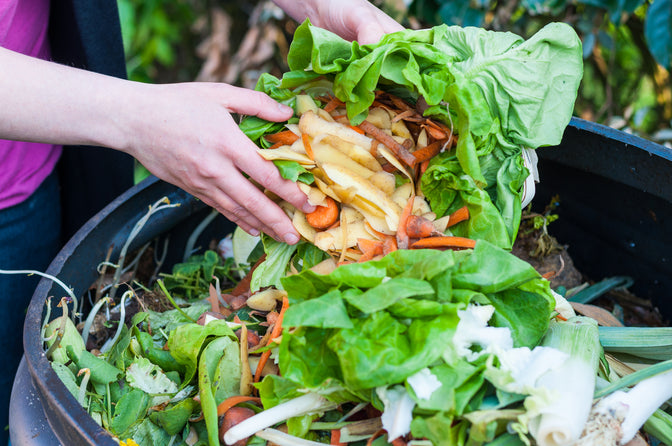 composting