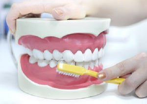 Dental Health - Your Essential Guide