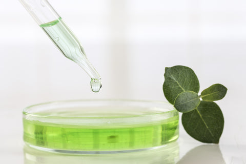 What Is Myrtol Standardized?