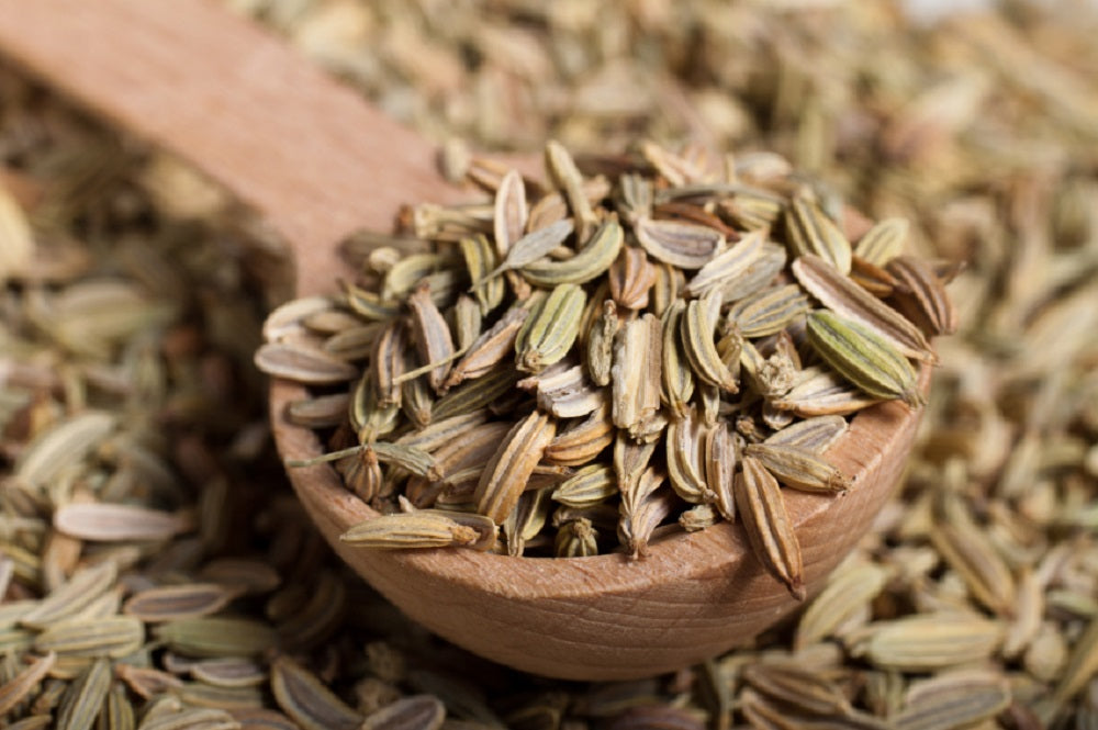 What Are The Health Benefits Of Fennel