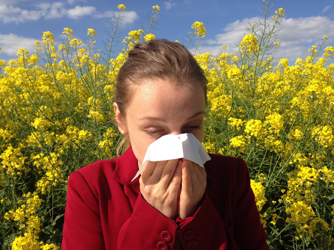 woman blowing nose because she is hypoallergenic