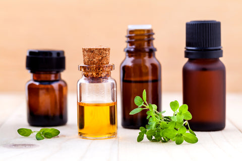 Ledum Essential Oil Benefits