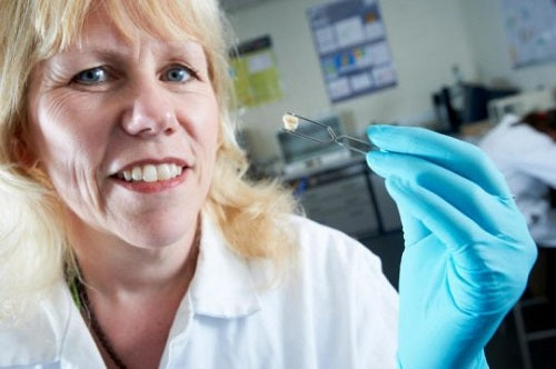 Steep Decline In Tooth Loss, Increase In Socioeconomic Disparities Found By Study