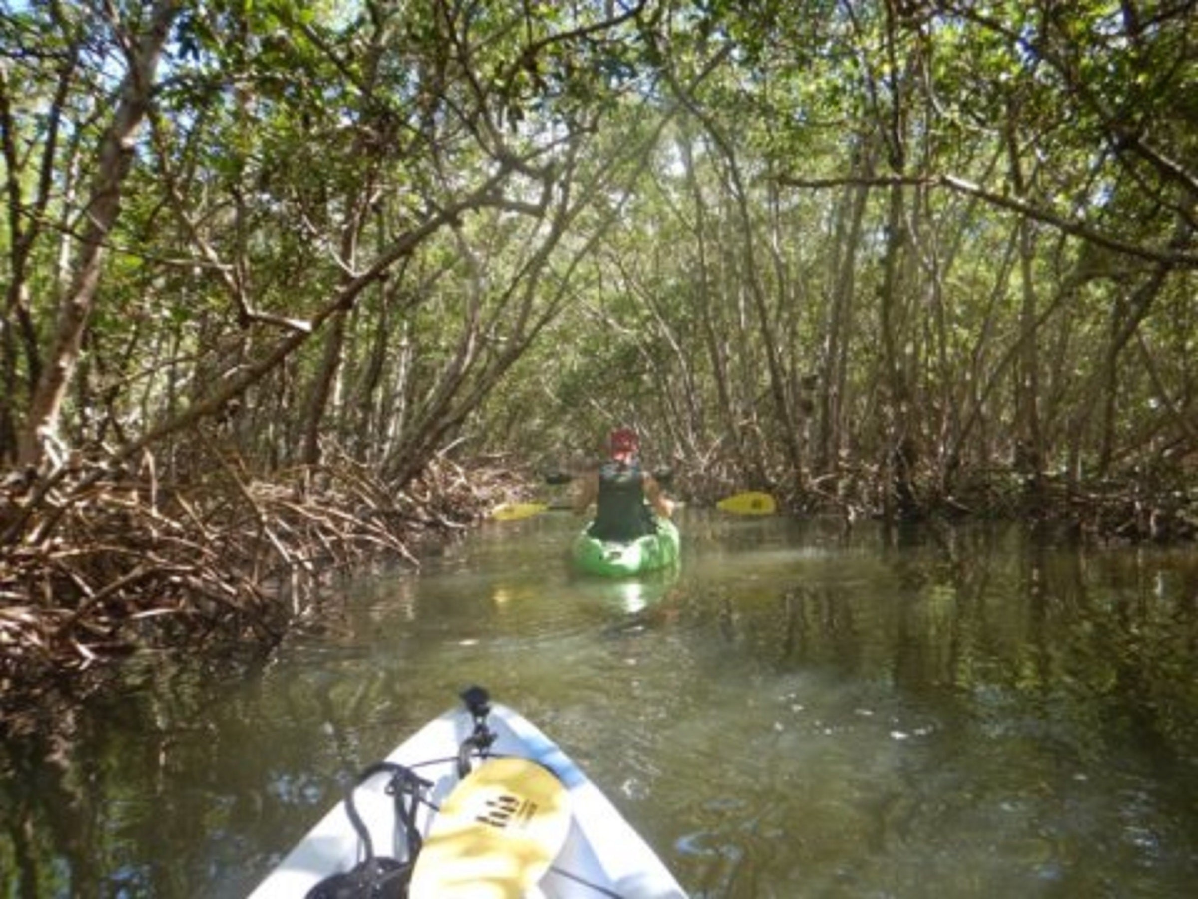 Natural Histamines: Serenity In The Woods