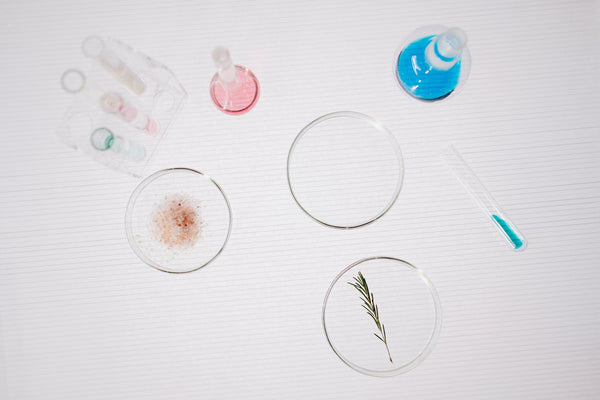 How Are Our Products Made? Inside Our Biotech Lab