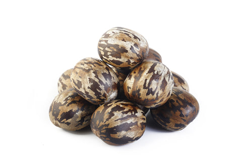 Rubber Seed Oil Uses