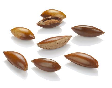 Sapote Oil: A Hair And Skin Must Have