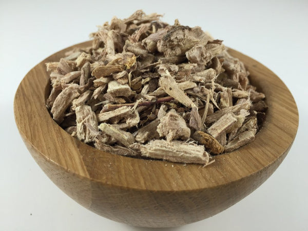 What Is Stillingia Root?