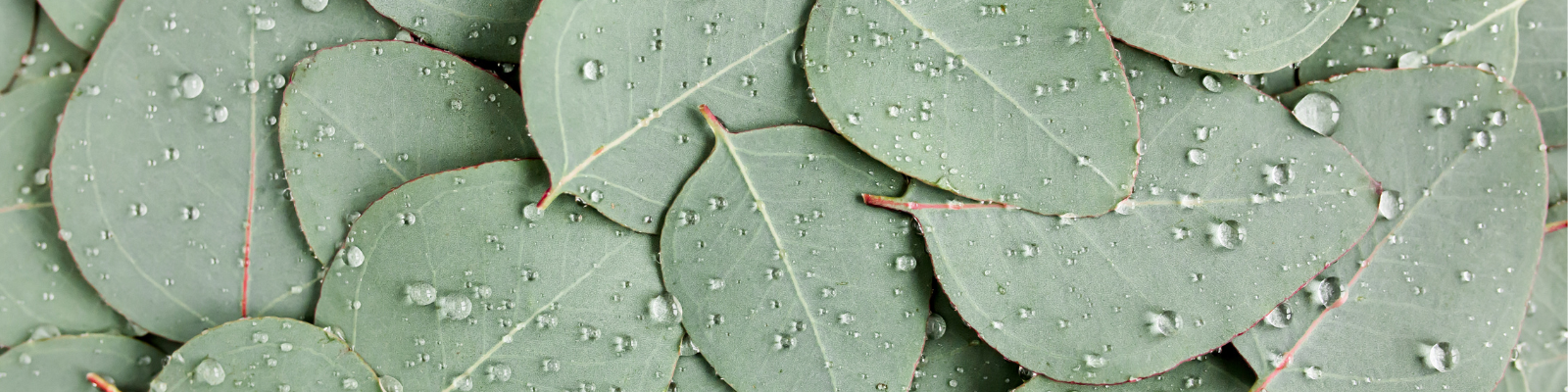 Free Breath spray sale products