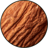 Close-up of an almond