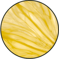 Close-up view of a yellow flower petal
