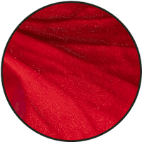 Close-up of red petal texture