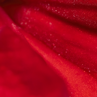 Close-up of red textured surface