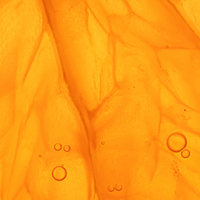 Close-up of orange textured surface with bubbles